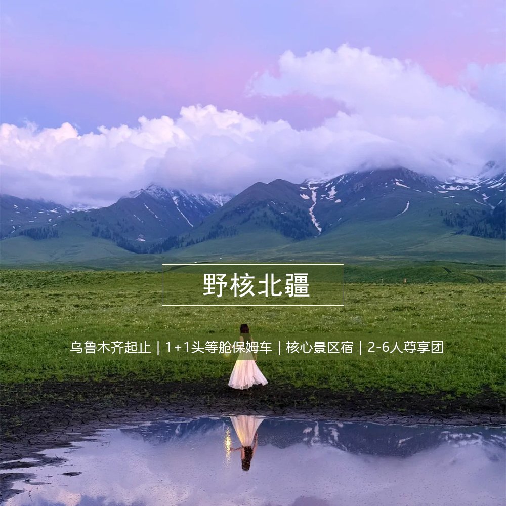 野核北疆