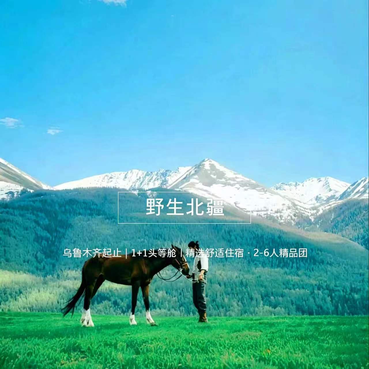 野生北疆